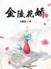 金陵花娇